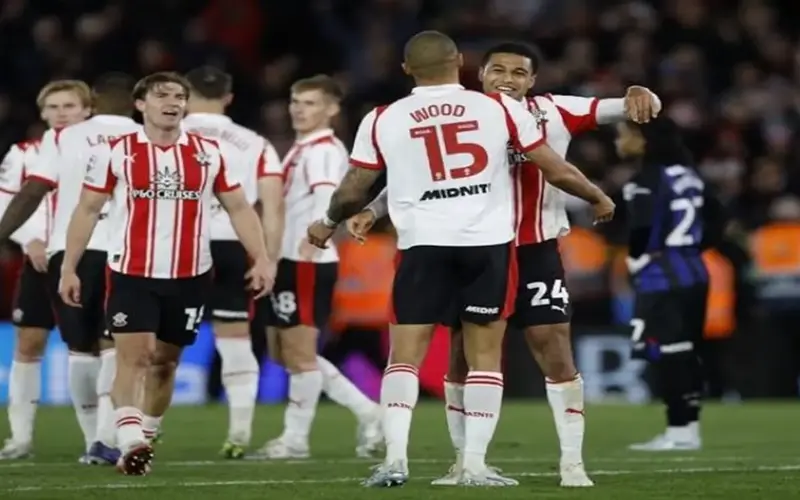ساوثامبتون يواجه هال في نهائي الملحق المؤهل للدوري الإنجليزي